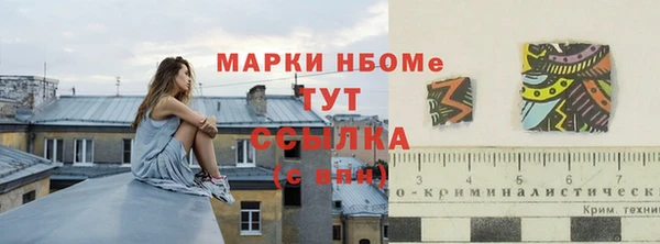 гидропоника Алзамай