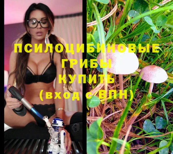 мефедрон Алексеевка