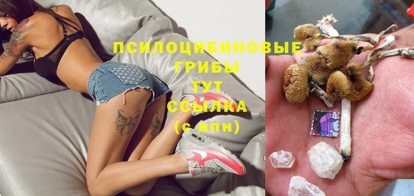 гидропоника Алзамай