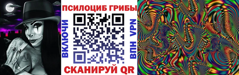 закладка  Чаплыгин  Галлюциногенные грибы Cubensis 